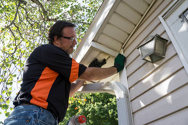 Best Historical Building Siding Restoration  in Eagle River, WI